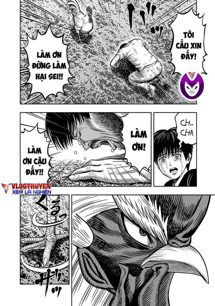 Chiến Binh Gà Trống - Page 36