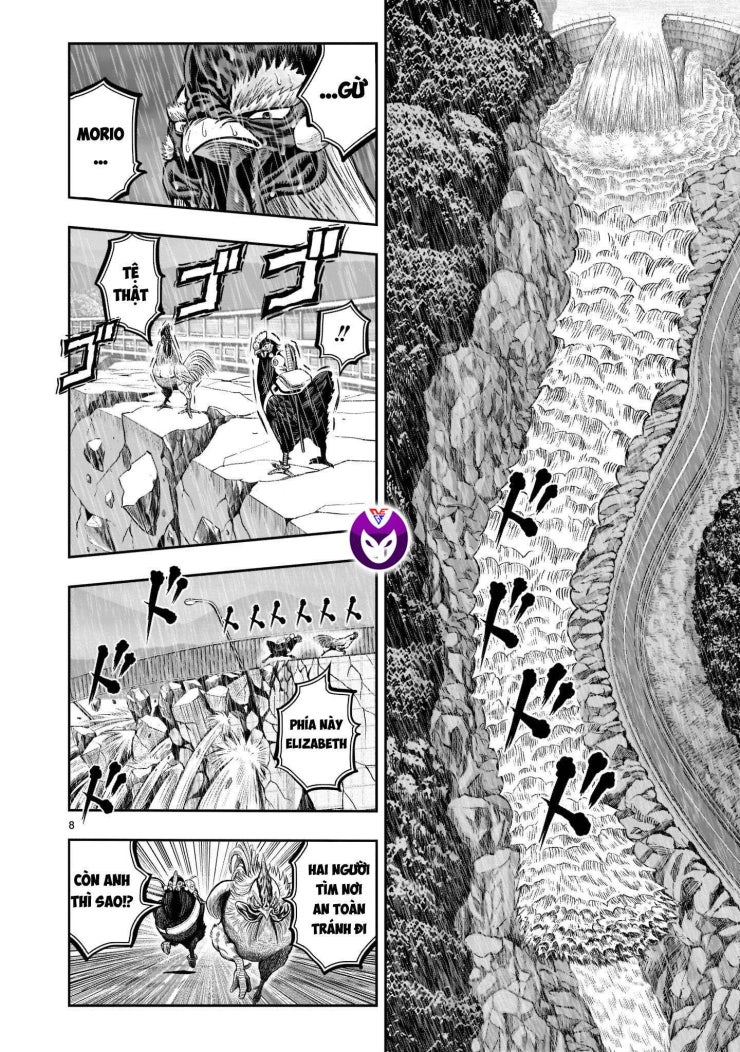 Chiến Binh Gà Trống - Page 8