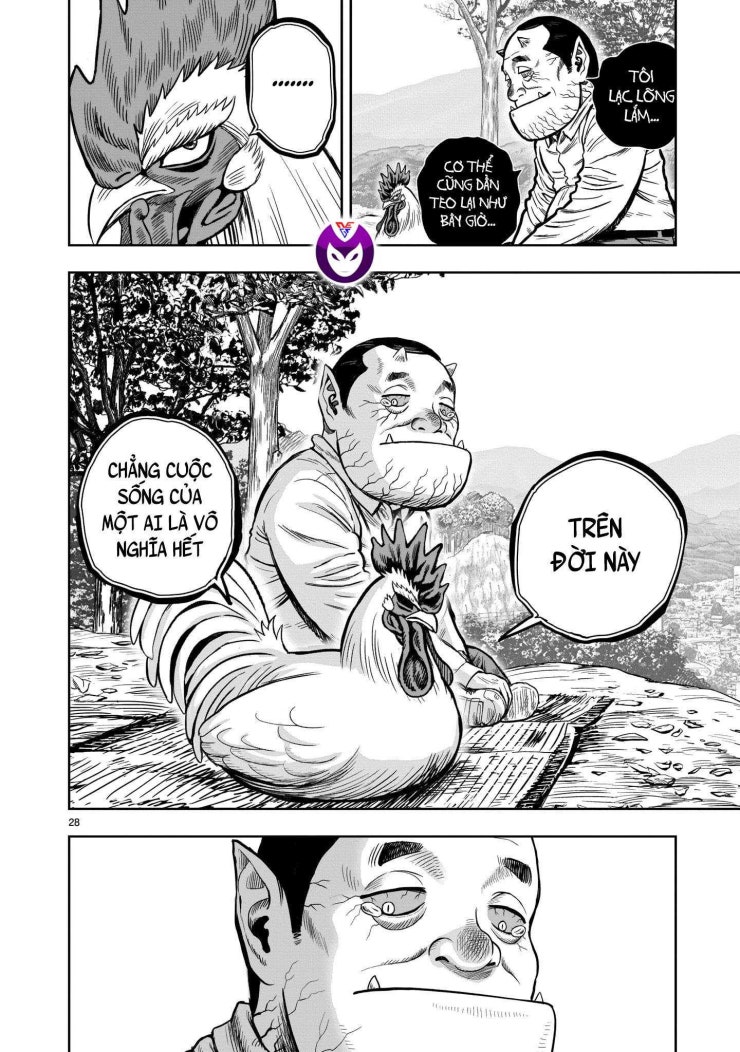 Chiến Binh Gà Trống - Page 31