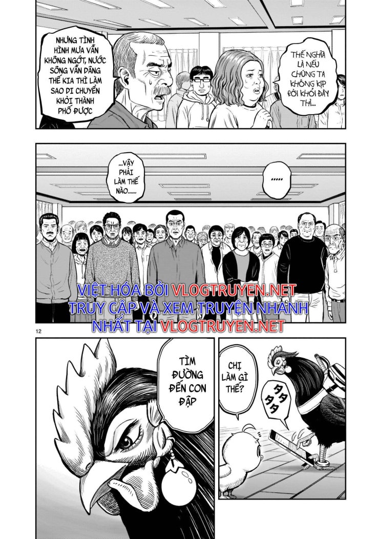 Chiến Binh Gà Trống - Page 13
