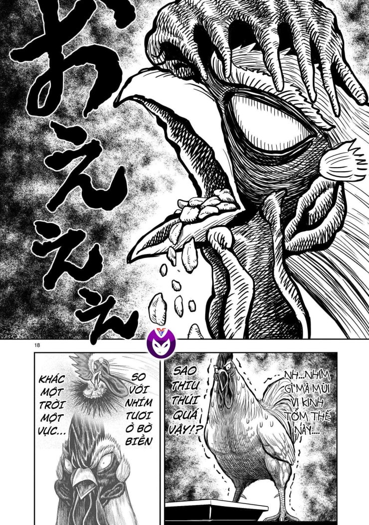 Chiến Binh Gà Trống - Page 20
