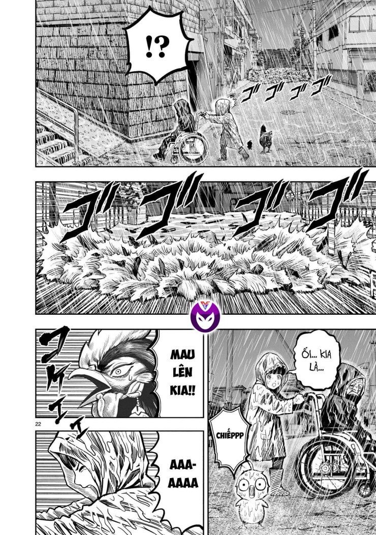Chiến Binh Gà Trống - Page 24