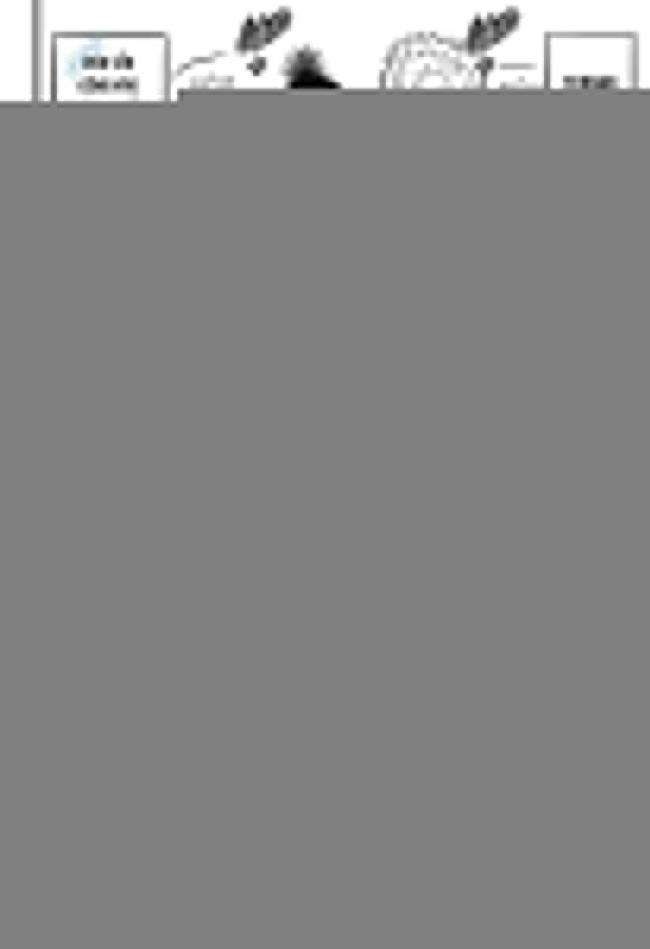 Cuộc Chiến Nô Lệ - Page 17