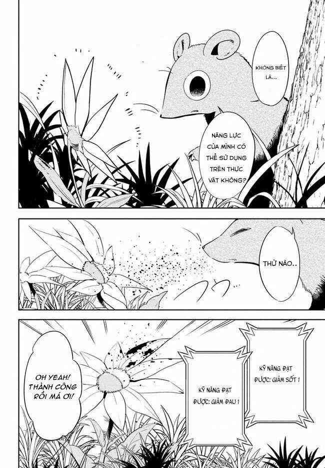 Chuyển Sinh Thành Virus Và Quá Trình Lây Nhiễm Ở Thế Giới Khác - Page 27