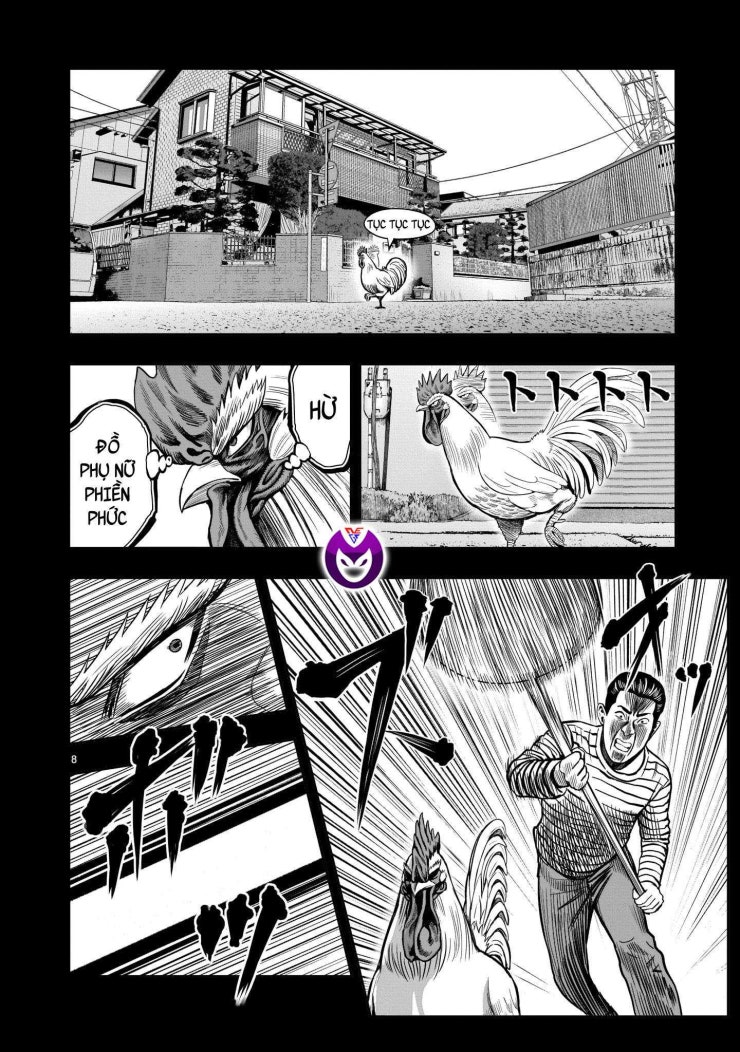 Chiến Binh Gà Trống - Page 9