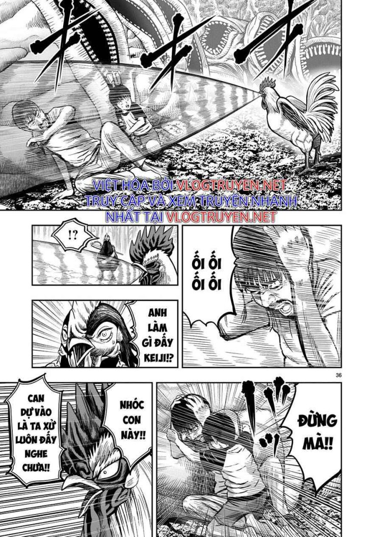 Chiến Binh Gà Trống - Page 33