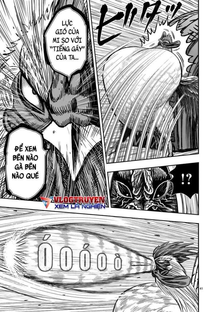 Chiến Binh Gà Trống - Page 43