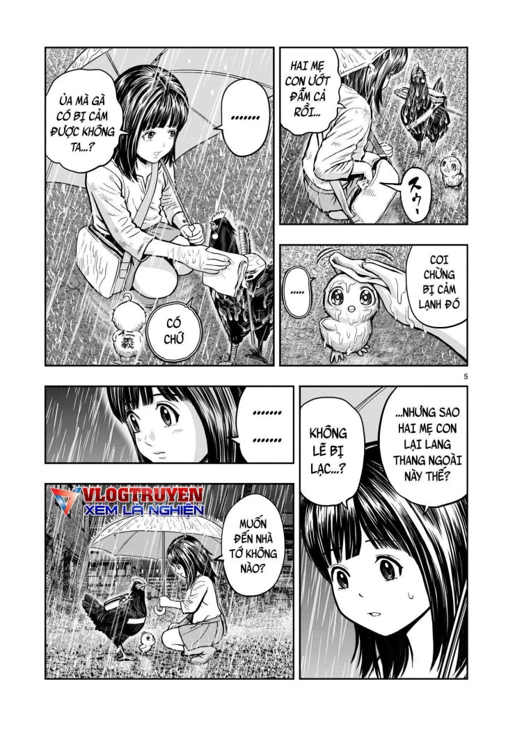 Chiến Binh Gà Trống - Page 6