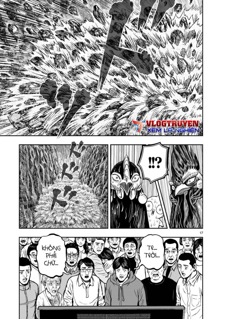 Chiến Binh Gà Trống - Page 17