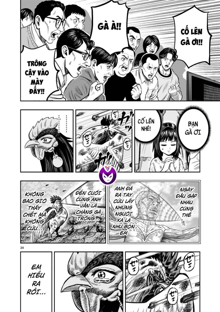 Chiến Binh Gà Trống - Page 24