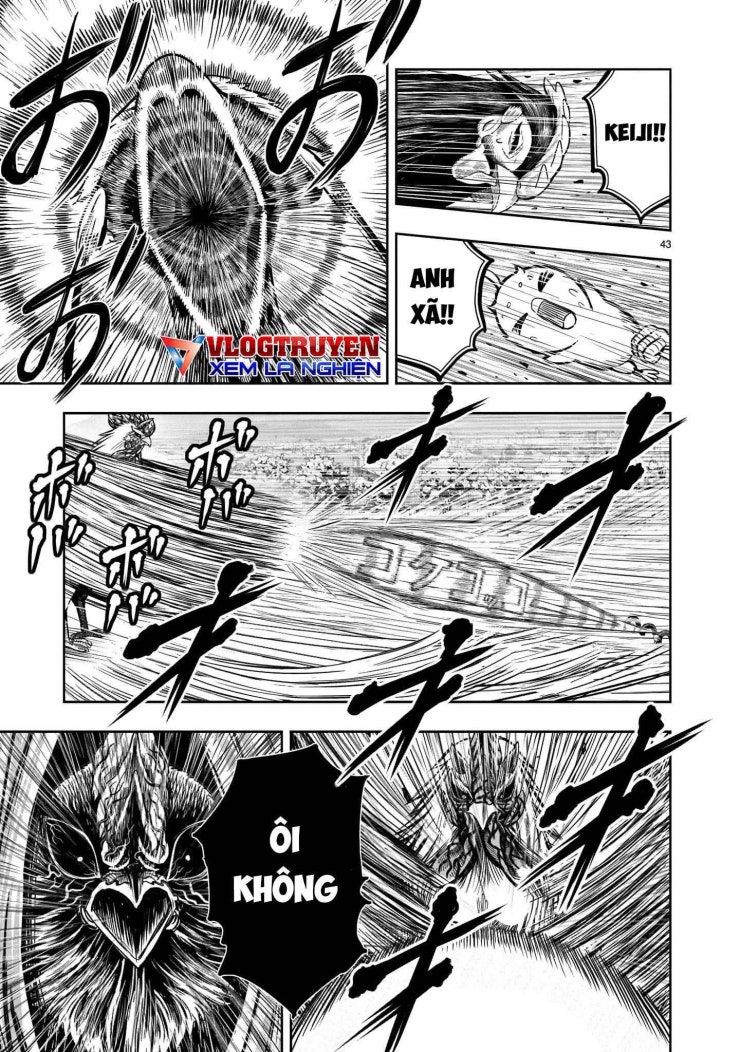 Chiến Binh Gà Trống - Page 45