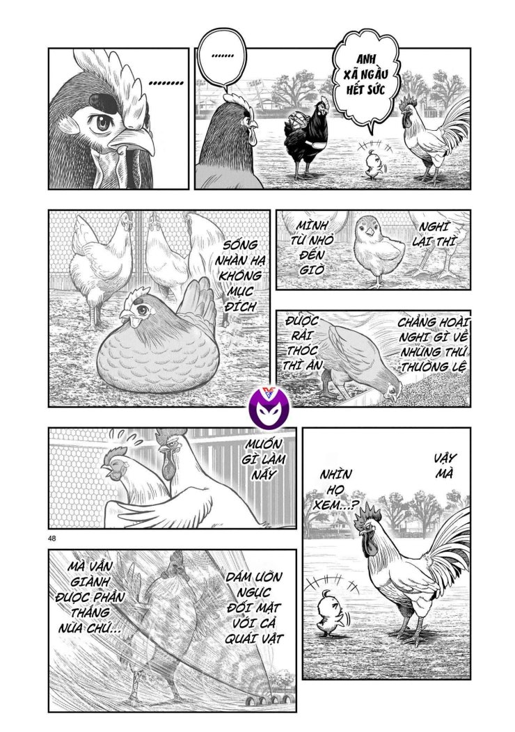Chiến Binh Gà Trống - Page 49
