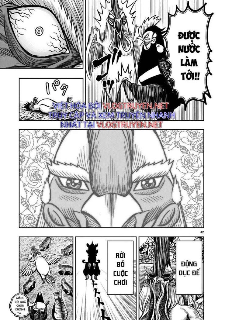 Chiến Binh Gà Trống - Page 39