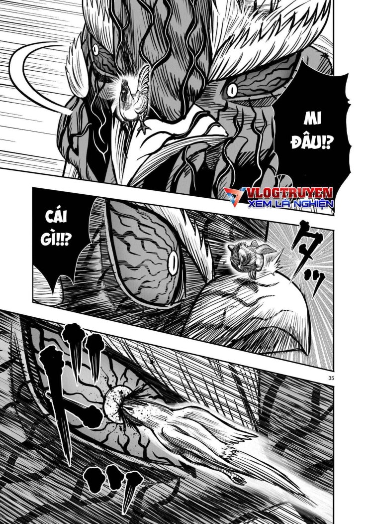 Chiến Binh Gà Trống - Page 37