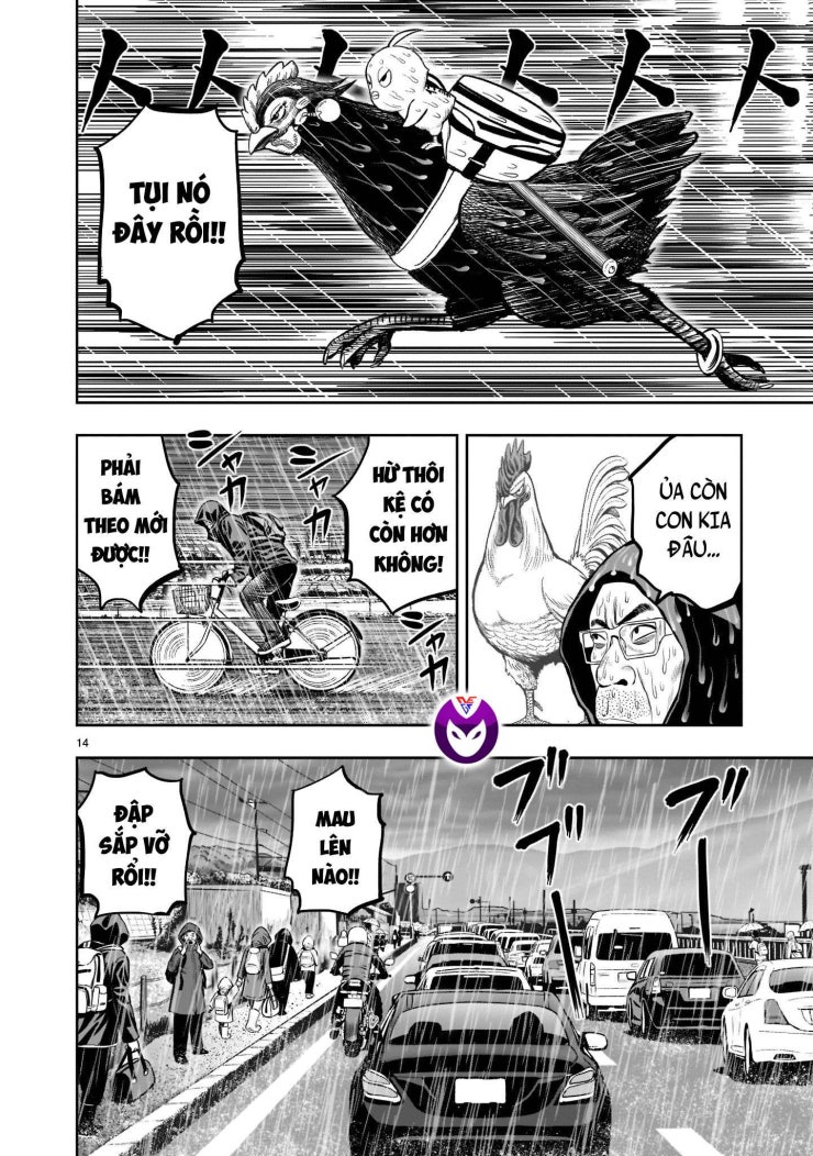 Chiến Binh Gà Trống - Page 16