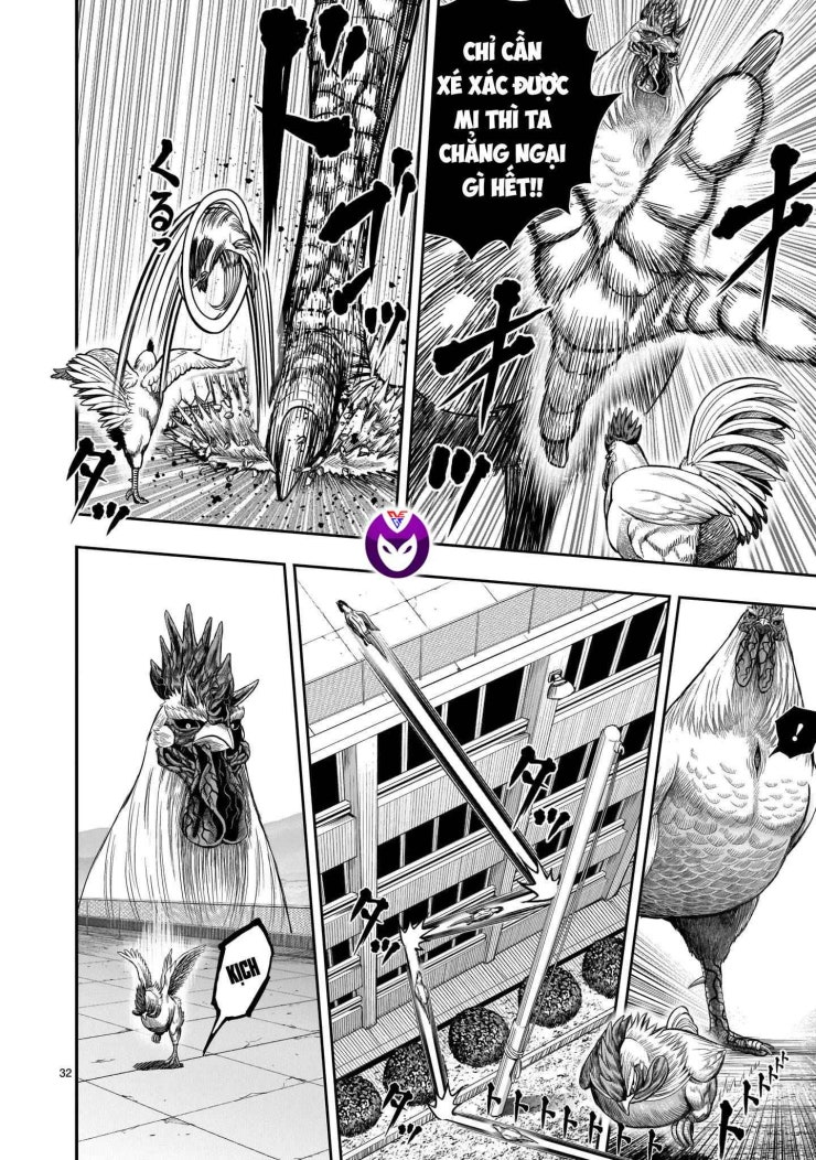 Chiến Binh Gà Trống - Page 34