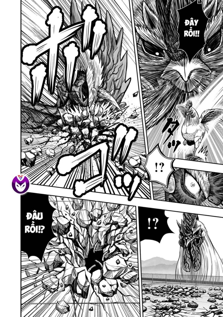 Chiến Binh Gà Trống - Page 36