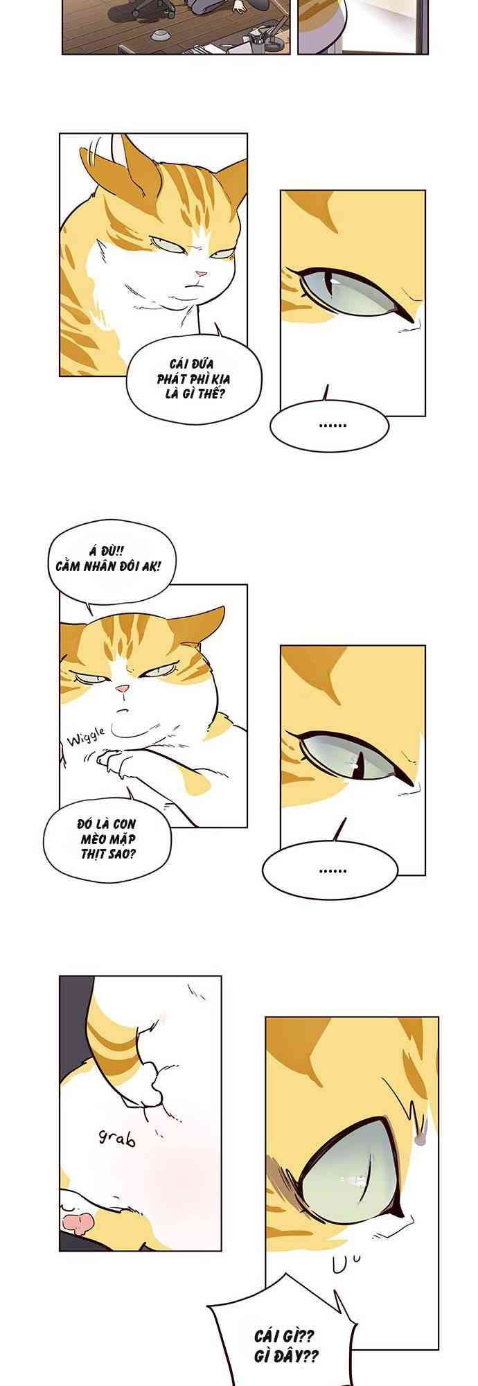 Hoá Thân Thành Mèo - Page 46