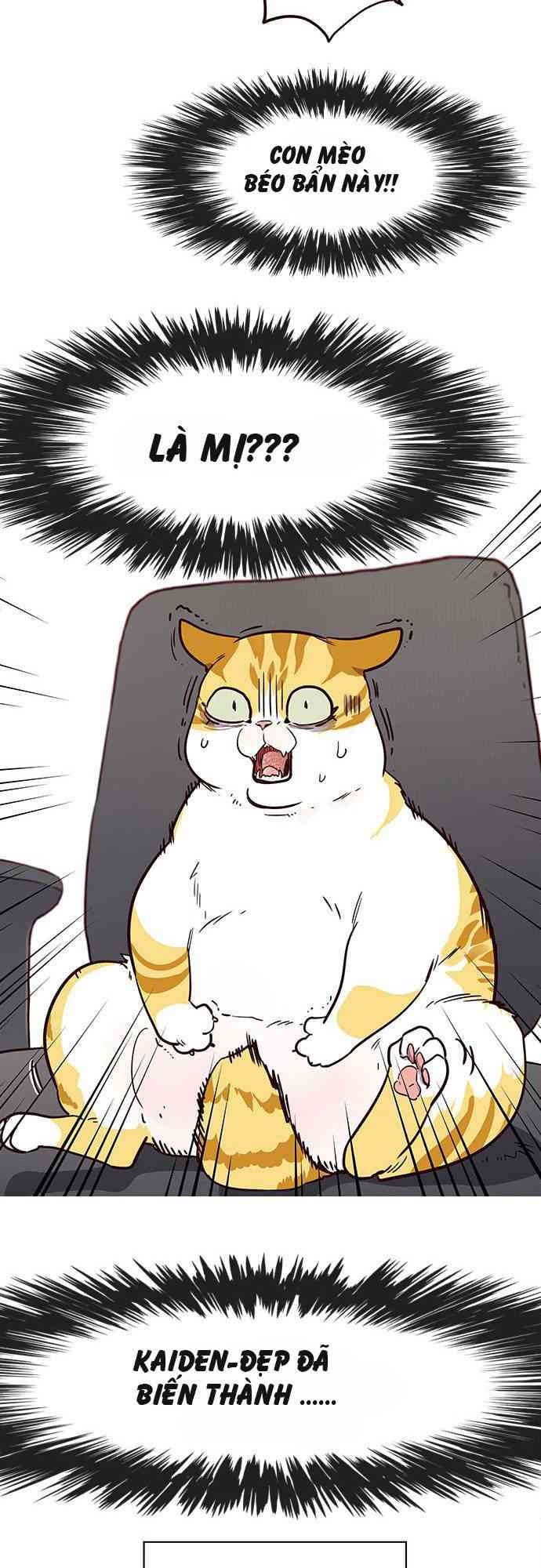 Hoá Thân Thành Mèo - Page 47