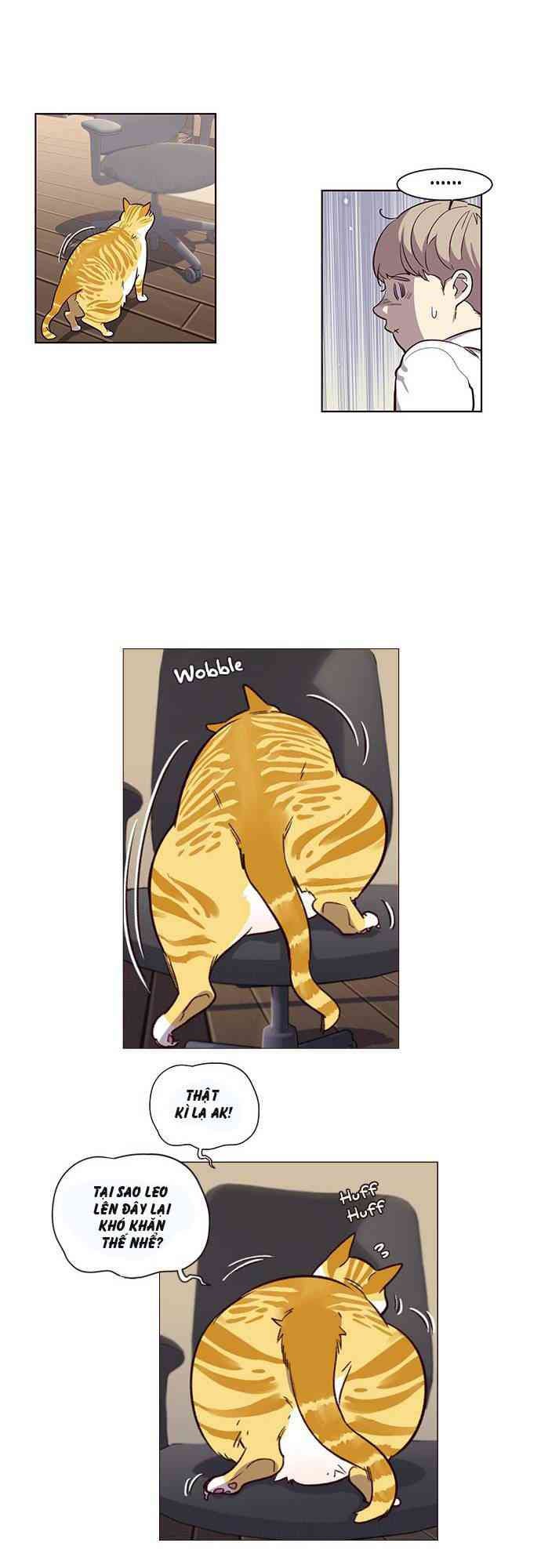 Hoá Thân Thành Mèo - Page 43