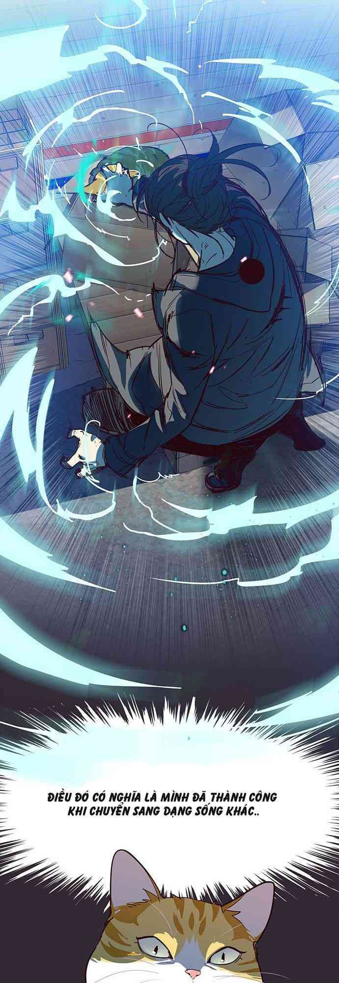 Hoá Thân Thành Mèo - Page 28