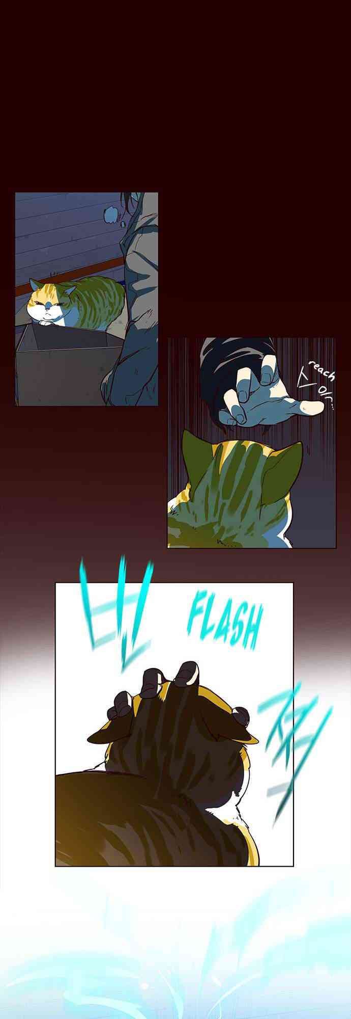 Hoá Thân Thành Mèo - Page 27