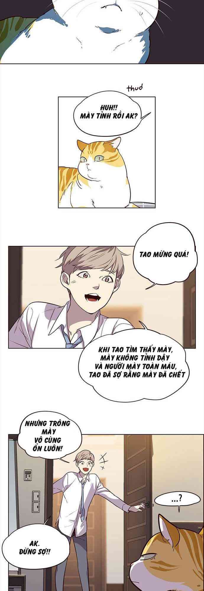 Hoá Thân Thành Mèo - Page 29