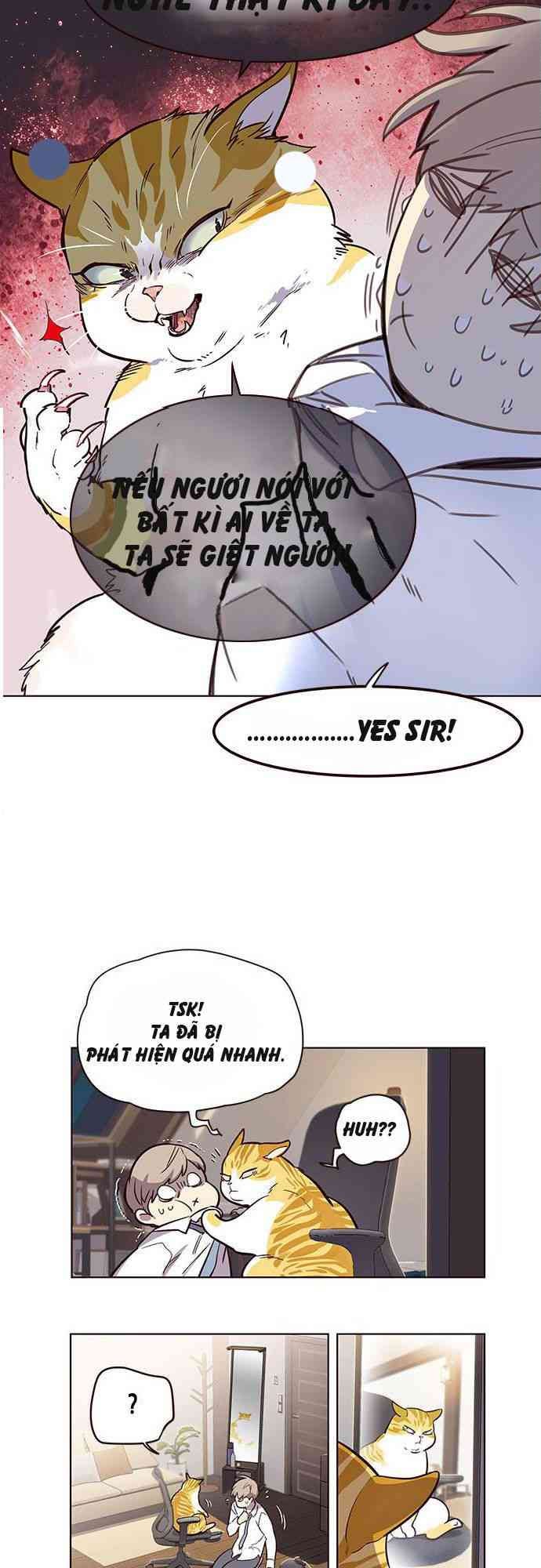 Hoá Thân Thành Mèo - Page 45