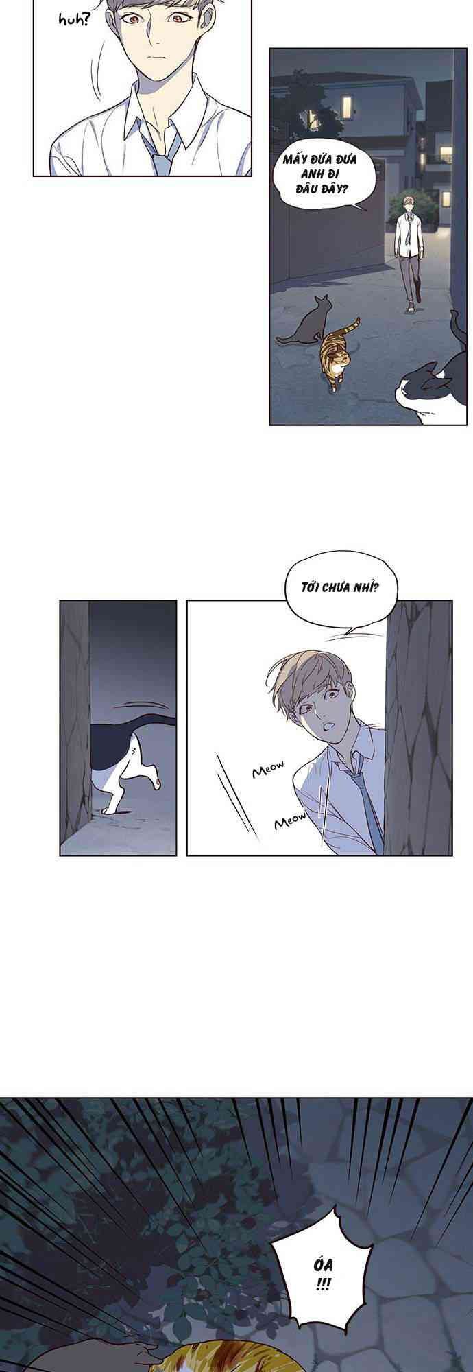 Hoá Thân Thành Mèo - Page 23