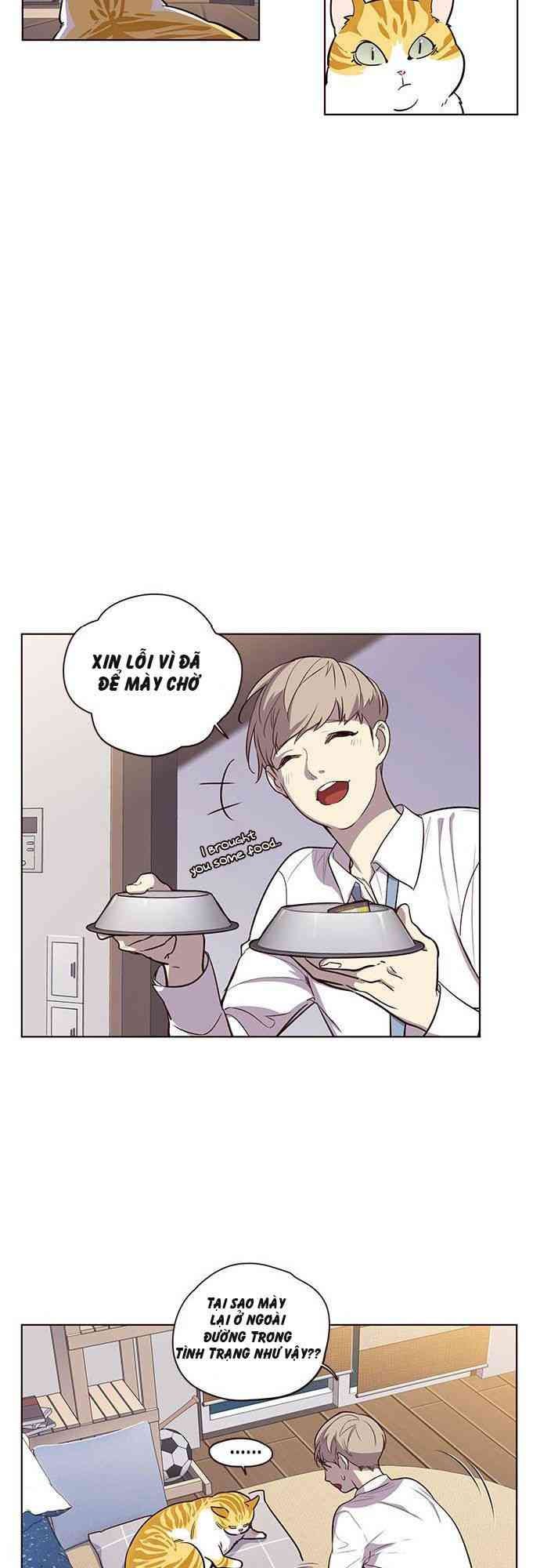 Hoá Thân Thành Mèo - Page 31