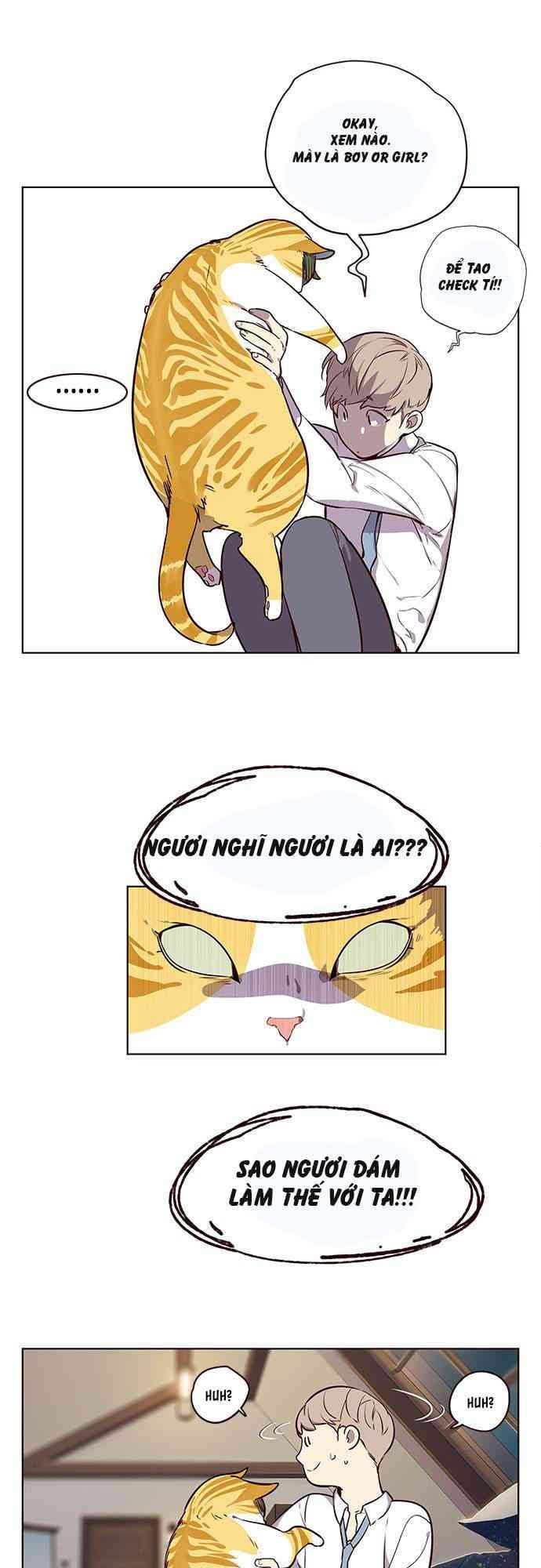 Hoá Thân Thành Mèo - Page 36