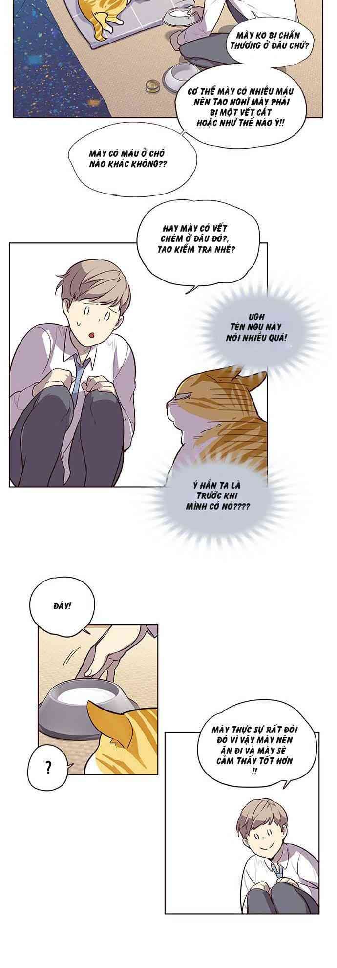 Hoá Thân Thành Mèo - Page 32