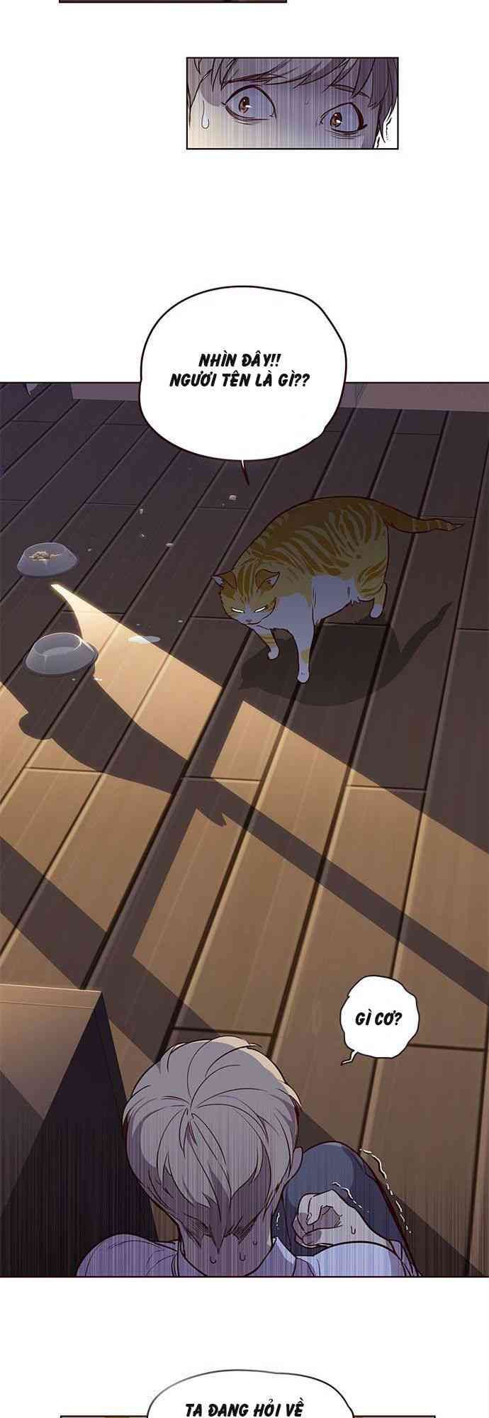 Hoá Thân Thành Mèo - Page 40