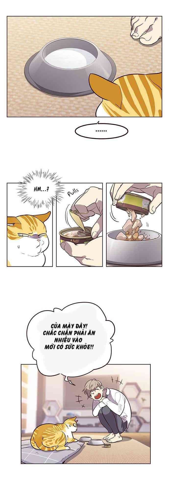 Hoá Thân Thành Mèo - Page 33