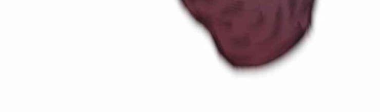 Kẻ Sống Sót Vua Kiếm - Page 76