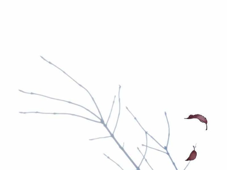 Xuyên Không Trở Thành Hồi Quy Giả - Page 15