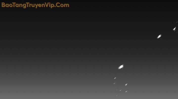 Sự Trở Lại Của Vị Hiệp Sĩ Dùng Thương - Page 31