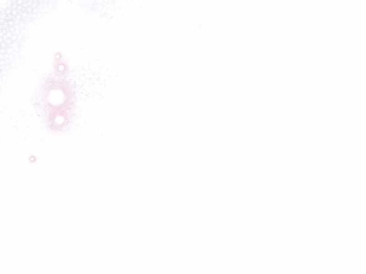 Xuyên Không Trở Thành Hồi Quy Giả - Page 151