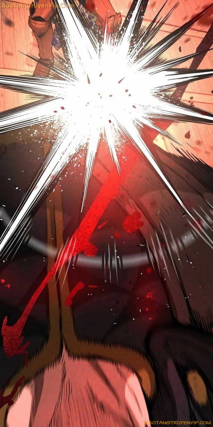 Kẻ Điên Và Đội Trưởng Cảnh Vệ - Page 13