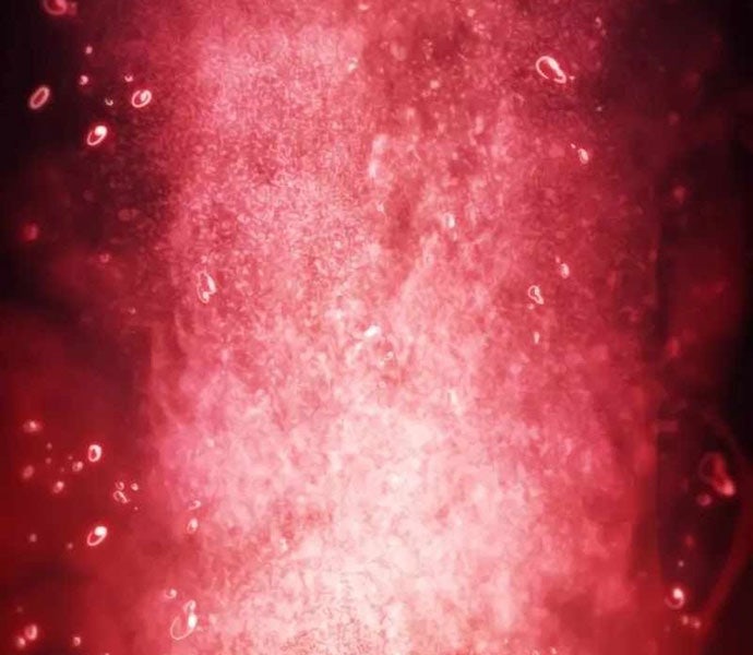 Cậu Út Nhà Công Tước Là Sát Thủ Hồi Quy - Page 191