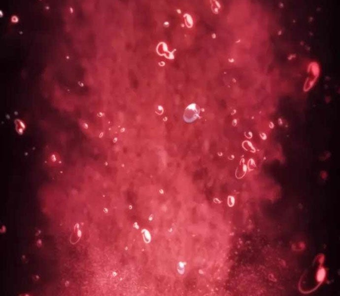 Cậu Út Nhà Công Tước Là Sát Thủ Hồi Quy - Page 190