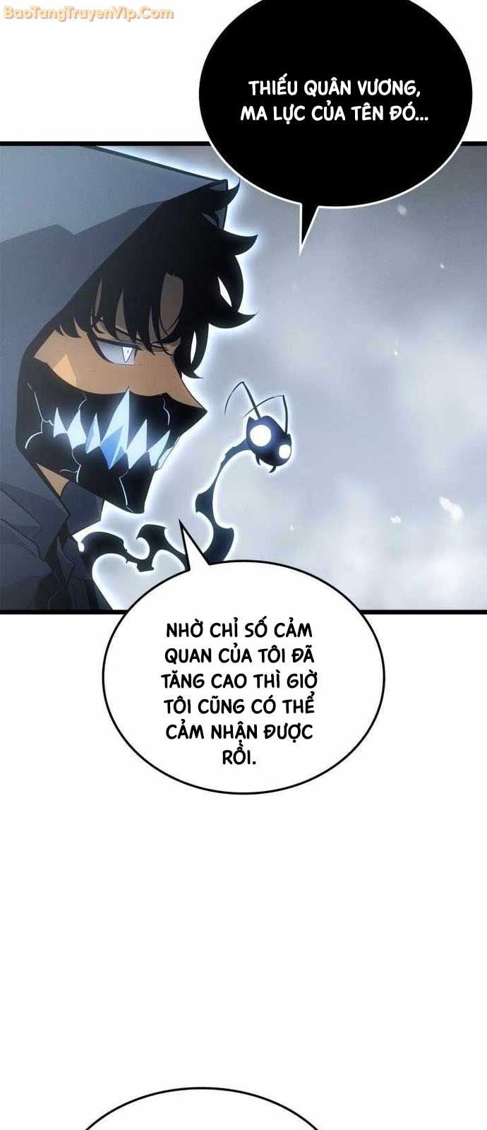 Solo Leveling : Ragnarok - Page 14