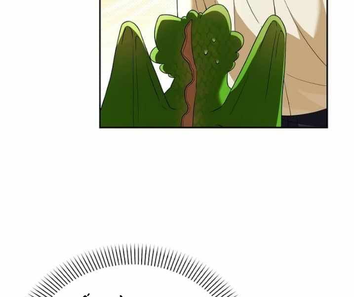 Thuần Thú Sư Thiên Tài - Page 72