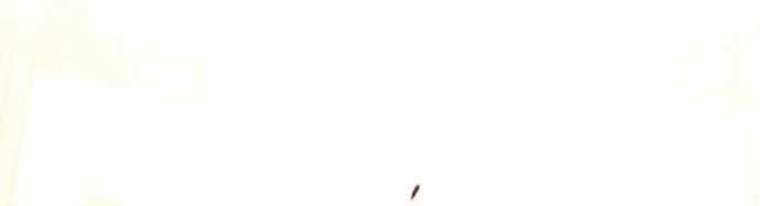 Mật Danh - Page 15