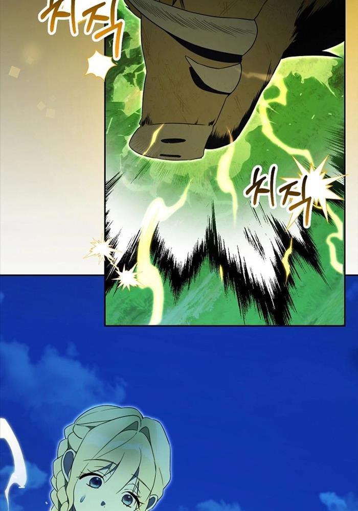 Thuần Thú Sư Thiên Tài - Page 41