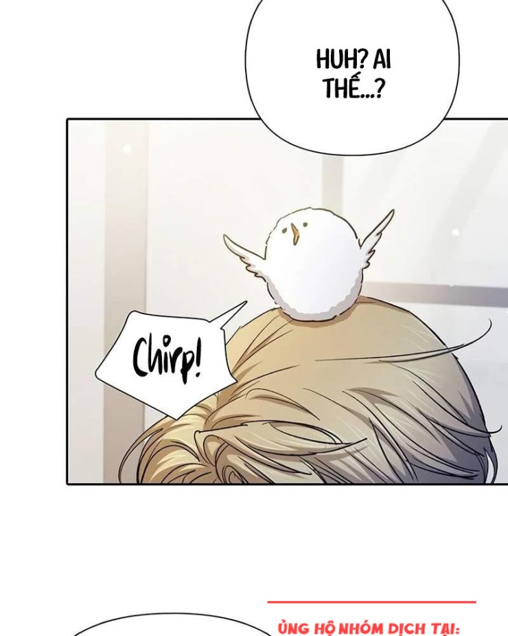 Những Ranker Cấp S Mà Tôi Nuôi Dưỡng - Page 17