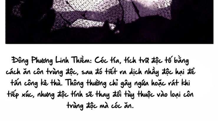 Phi Lôi Đao Thuật - Page 68