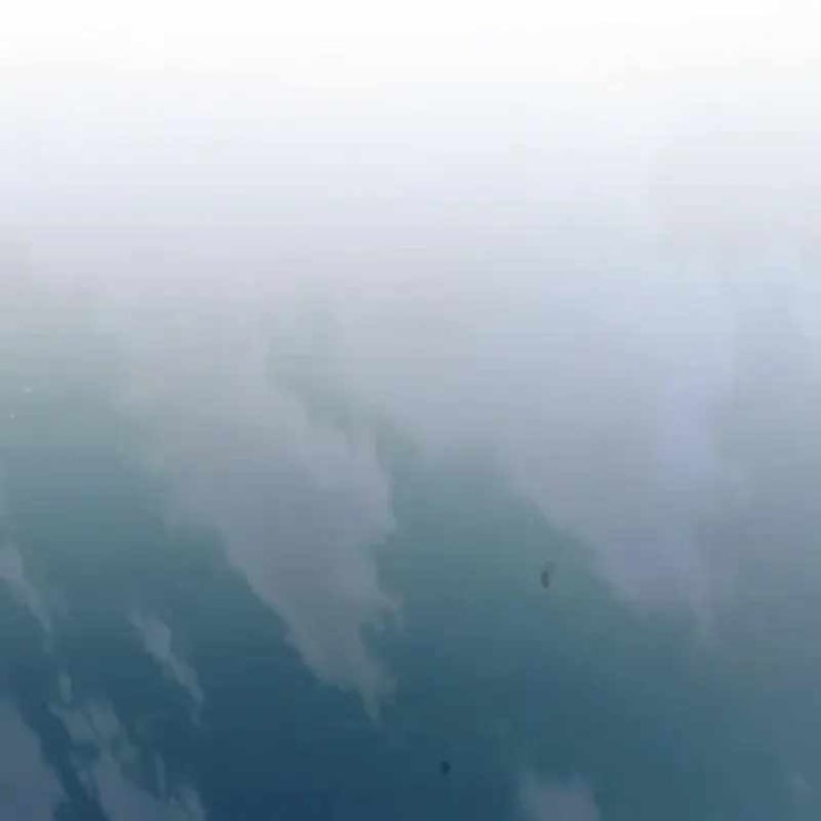 Tôi Nên Làm Gì - Page 233