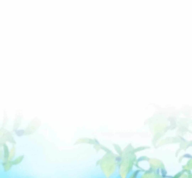 Lượng Mana Đáy Xã Hội! Ta Vô Địch Nhờ Kỹ Năng Của Mình - Page 47