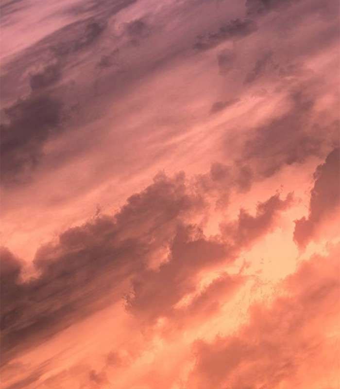 Solo Leveling ARISE: Nguồn Gốc Của Thợ Săn - Page 127